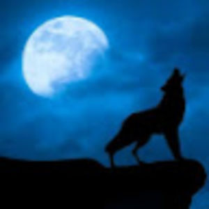 Meet your Posher, Aislin